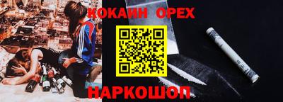 шишки Кингисепп
