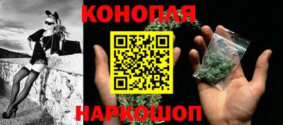 шишки Кингисепп