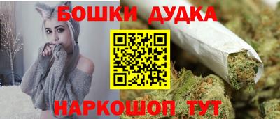 шишки Кингисепп