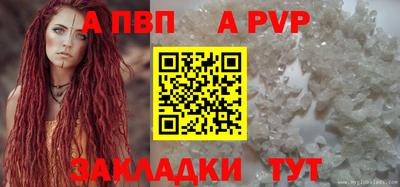 шишки Кингисепп
