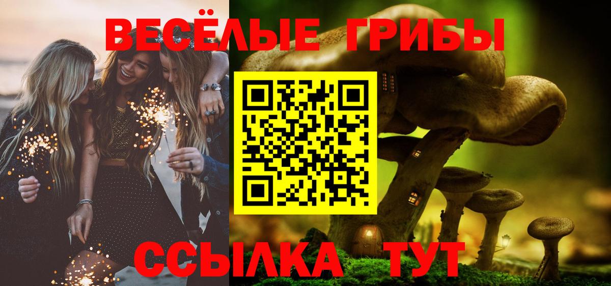Кимовск  Галлюциногенные грибы мицелий  Псилоцибиновые грибы GOLDEN TEACHER  Вход с VPN 